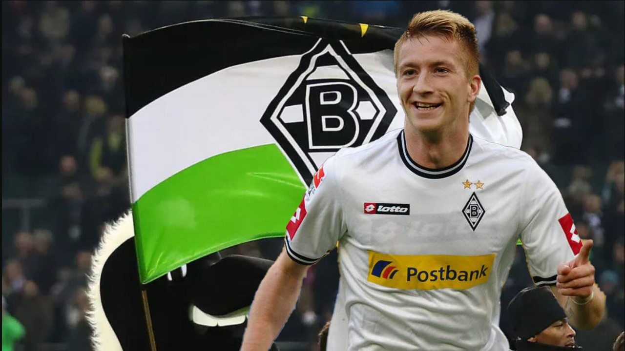 haixing sports-包含德甲倒计时；山东泰山集结日强势反弹；细节引发关注；话题不断；医务组通报恢复的词条-haixing sports